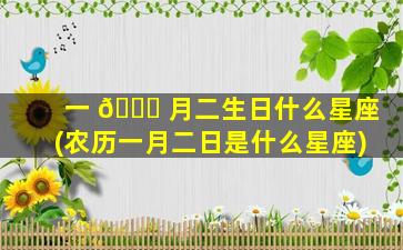 一 🕊 月二生日什么星座(农历一月二日是什么星座)